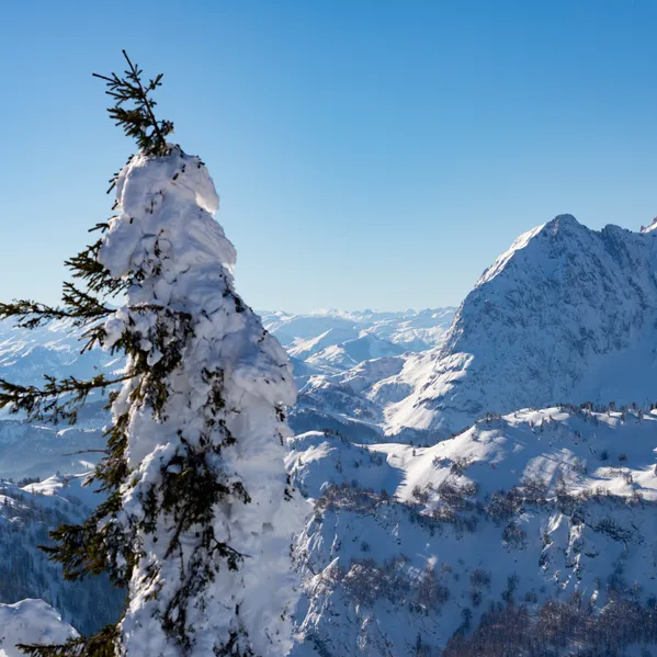 Kaiserwinkl__Landschaft__Fotograf_Bergmann__12_.jpg