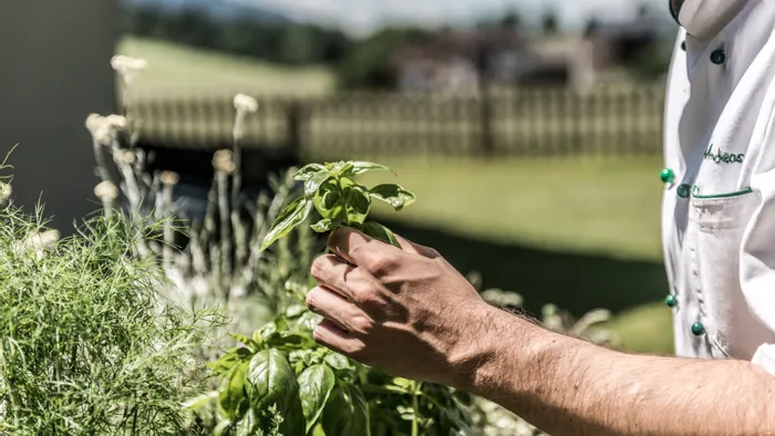 hotel_riedl_sommer_kraeuter_aus_dem_garten_florian_egger.jpg