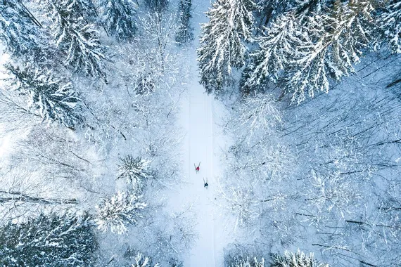 web-Kaiserwinkl-Urlaub-Walchsee-Winter-Winterlandschaft-Langlaufen-1.jpg