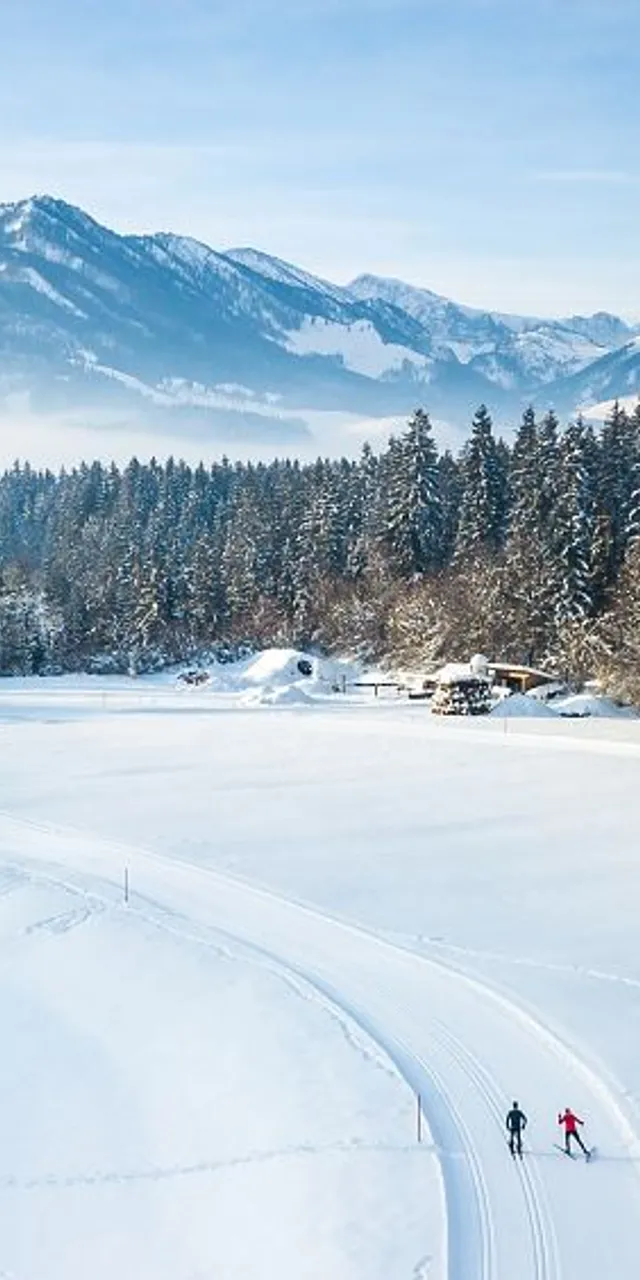 web-Kaiserwinkl-Urlaub-Walchsee-Winter-Winterlandschaft-Langlaufen-2.jpg